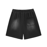 Shred Park Vintage Shorts