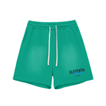 Shred Park Vintage Shorts
