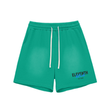 Shred Park Vintage Shorts