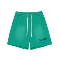 Shred Park Vintage Shorts