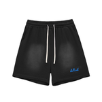 Shred Park Vintage Shorts