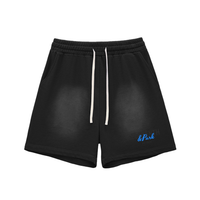 Shred Park Vintage Shorts