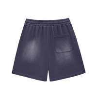 Shred Park Vintage Shorts