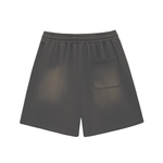Shred Park Vintage Shorts