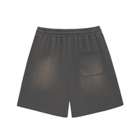 Shred Park Vintage Shorts