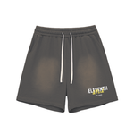 Shred Park Vintage Shorts