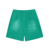 Shred Park Vintage Shorts