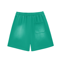 Shred Park Vintage Shorts